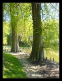 Le parc du chateau à Vitré-001